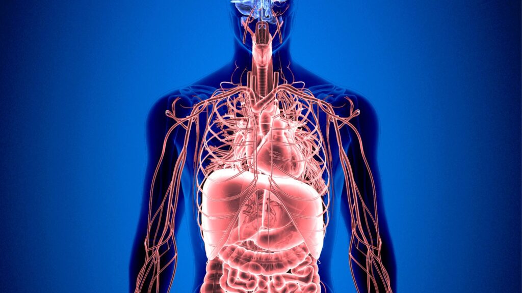 Metabolic Toxins