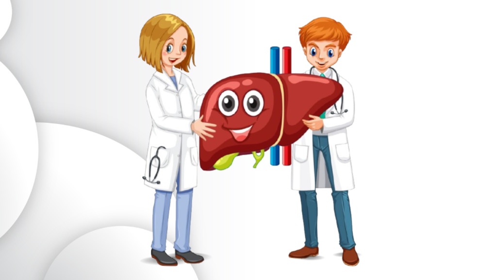 role of liver